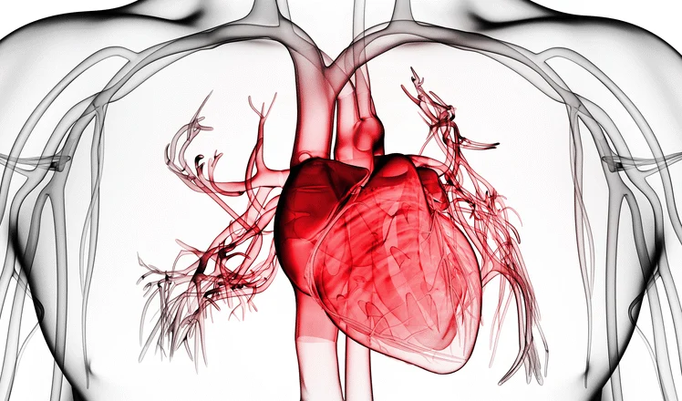 Vital Signs: Understanding What the Body Is Telling Us オンライン講座