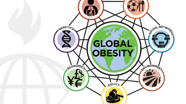 Systems Science and Obesity オンライン講座