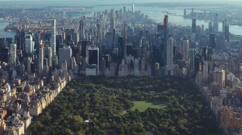 Climate Resilience and Urban Sustainability オンライン講座