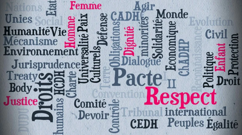 Introduction aux Droits de l’Homme オンライン講座