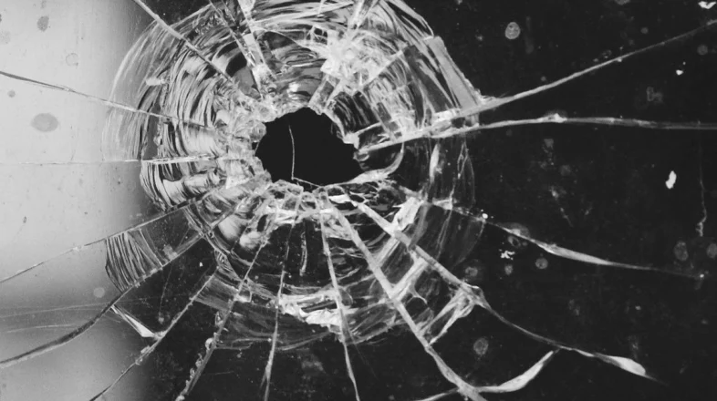 Science of Firearm Injury Prevention Among Children & Teens オンライン講座