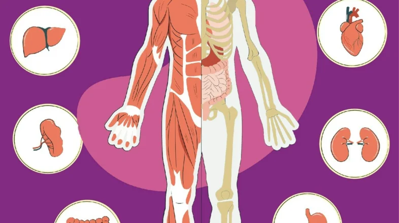 Fundamental Human Physiology in Sports Medicine オンライン講座