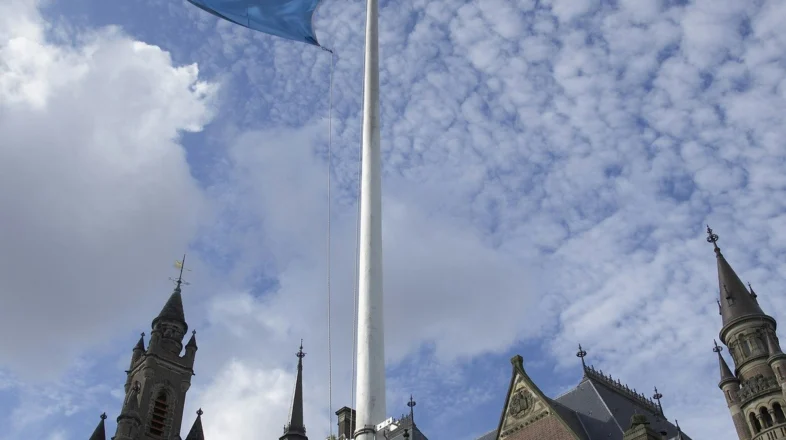 International Law in Action: A Guide to the International Courts and Tribunals in The Hague オンライン講座