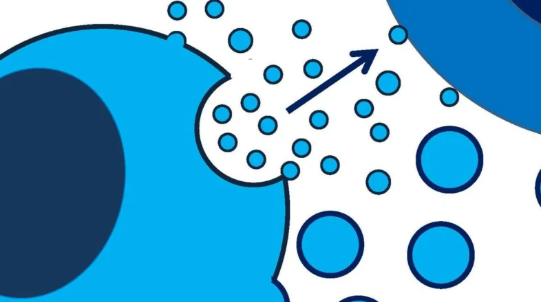 Basics of Extracellular Vesicles オンライン講座