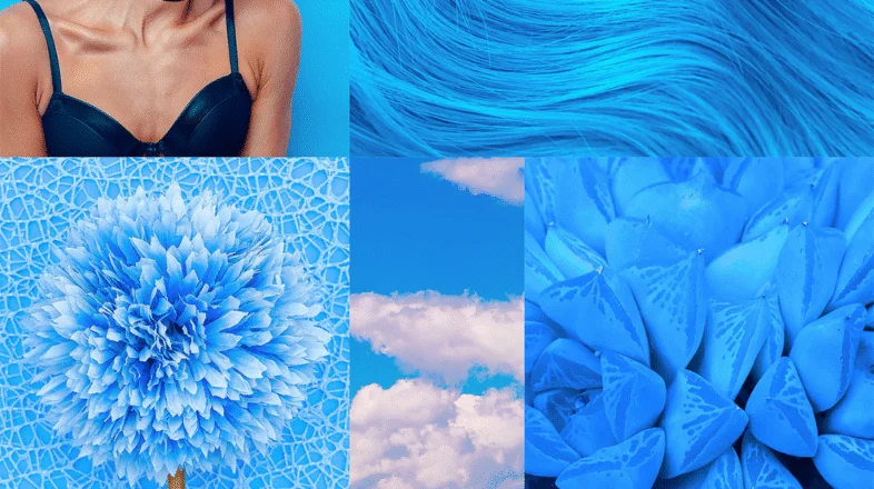 Crear un panel de inspiración para su marca con Canva オンライン講座