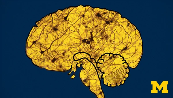 Sleep: Neurobiology, Medicine, and Society オンライン講座