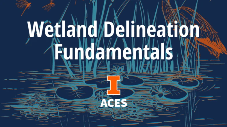 Wetland Delineation Fundamentals オンライン講座