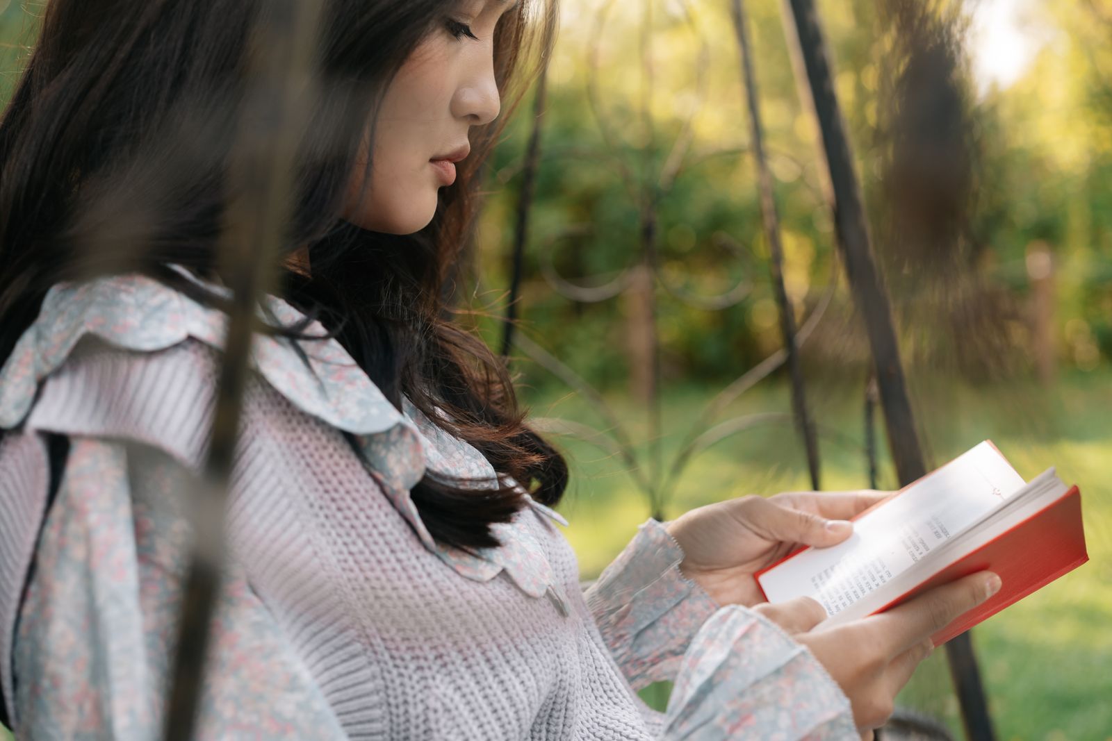 好きなものを人に言えない 好みと向き合う穏やかなシーン